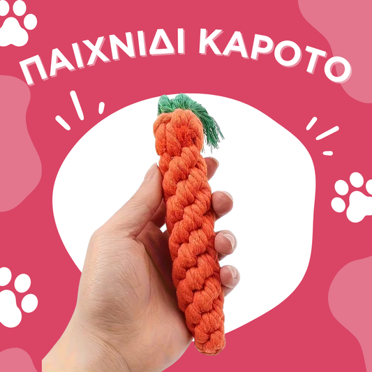 Παιχνίδι Καρότο Ανθεκτικό στα Δαγκώματα