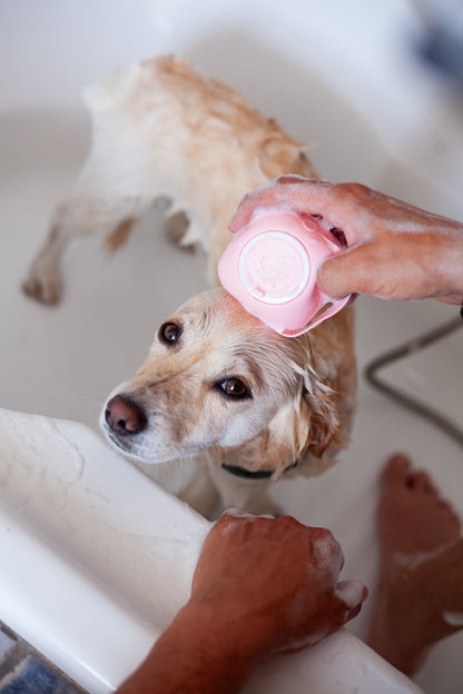 DogCare® Bath Kit (2 Βουρτσάκια Σιλικόνης Μπλε και Ροζ, Πετσέτα + Οδοντόβουρτσα)