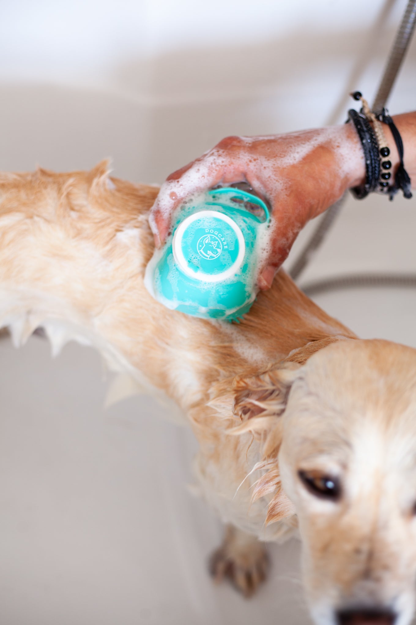 DogCare® Βουρτσάκι Σιλικόνης για Μπάνιο και Μασάζ