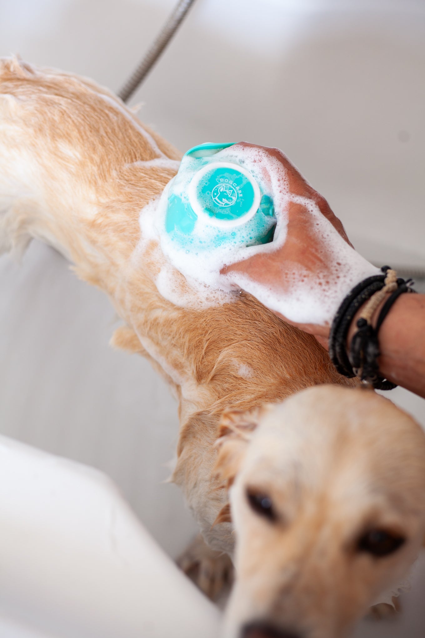 DogCare® Βουρτσάκι Σιλικόνης για Μπάνιο και Μασάζ