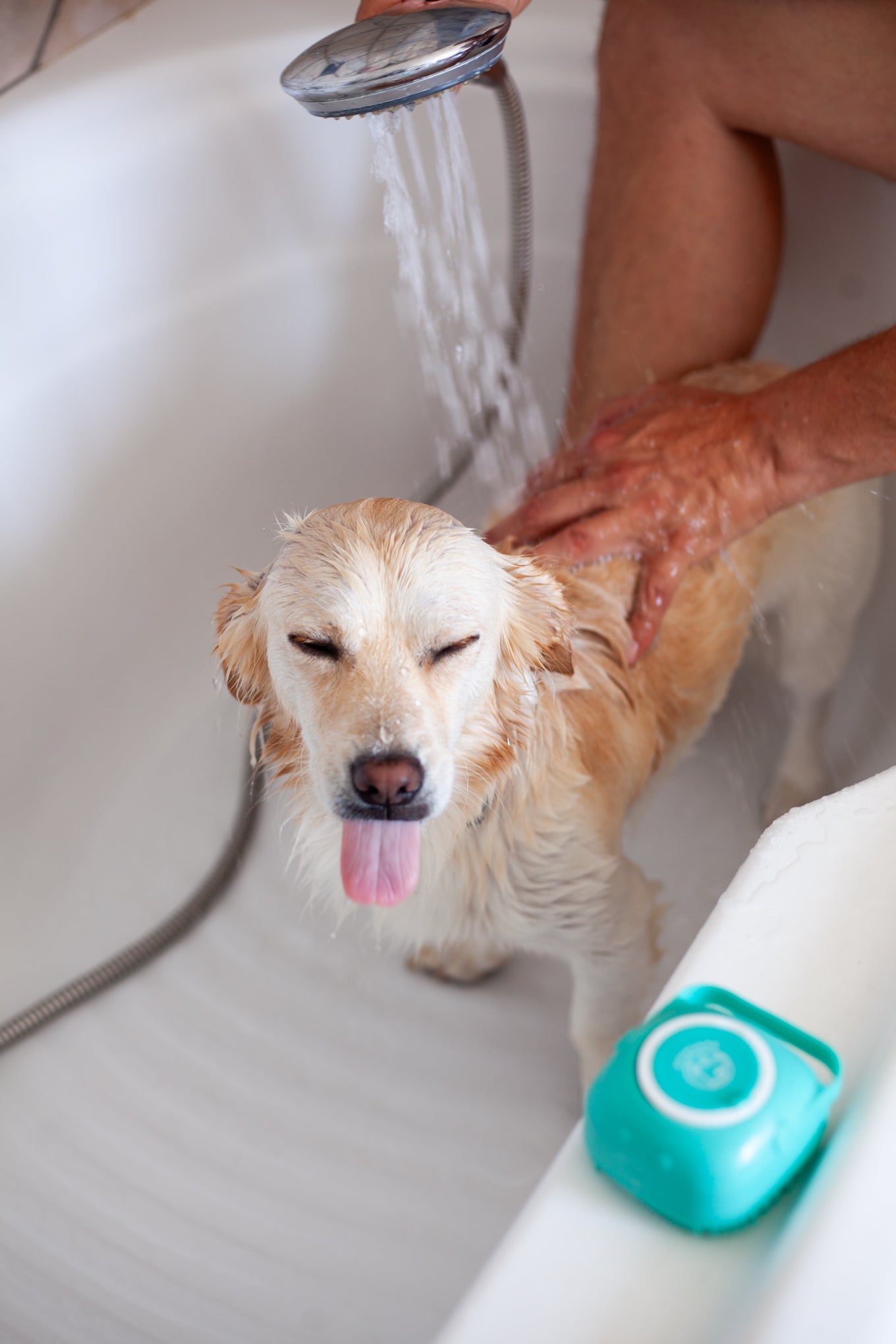 DogCare® Bath Kit (2 Βουρτσάκια Σιλικόνης Μπλε και Ροζ, Πετσέτα + Οδοντόβουρτσα)
