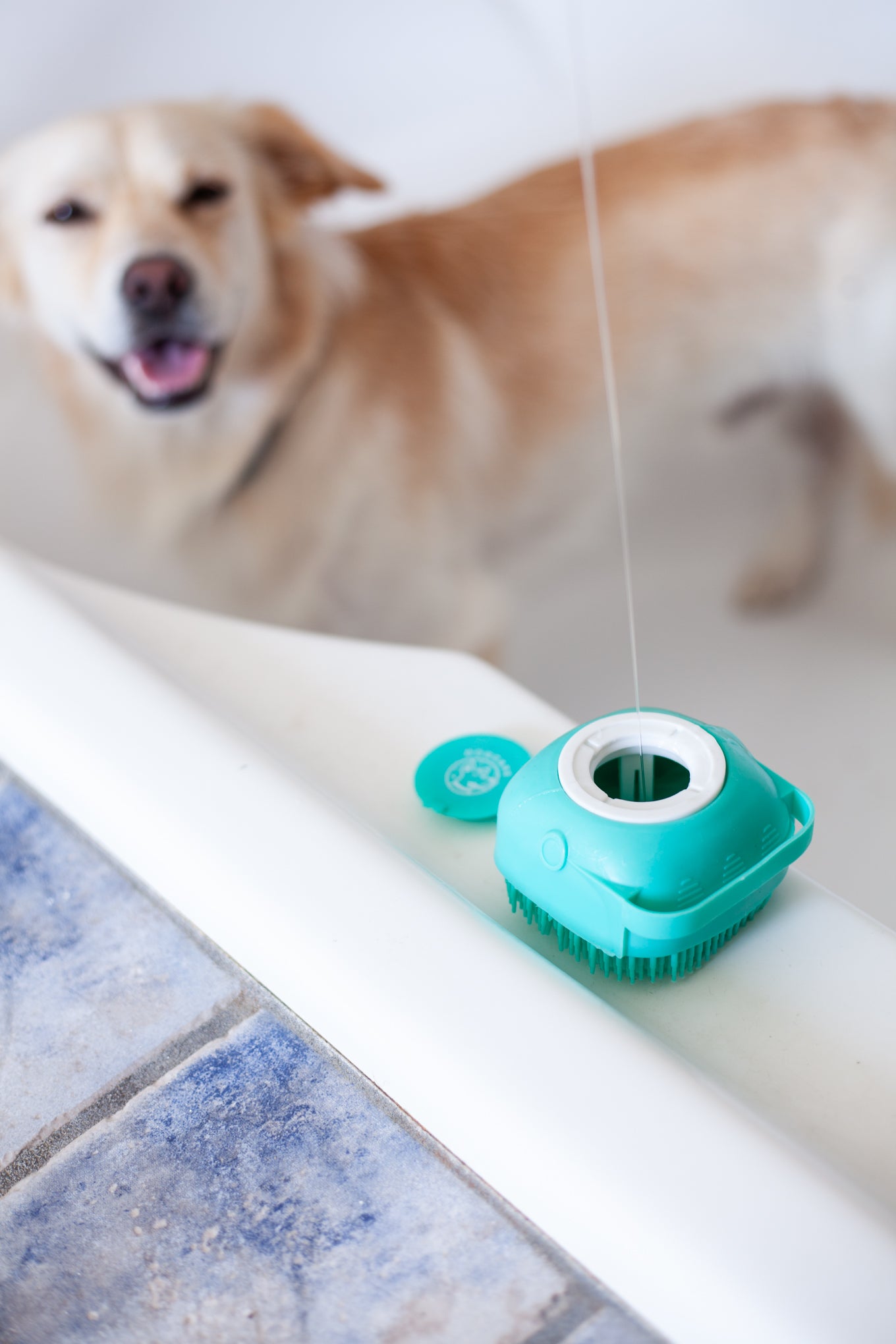DogCare® Bath Kit (2 Βουρτσάκια Σιλικόνης Μπλε και Ροζ, Πετσέτα + Οδοντόβουρτσα)