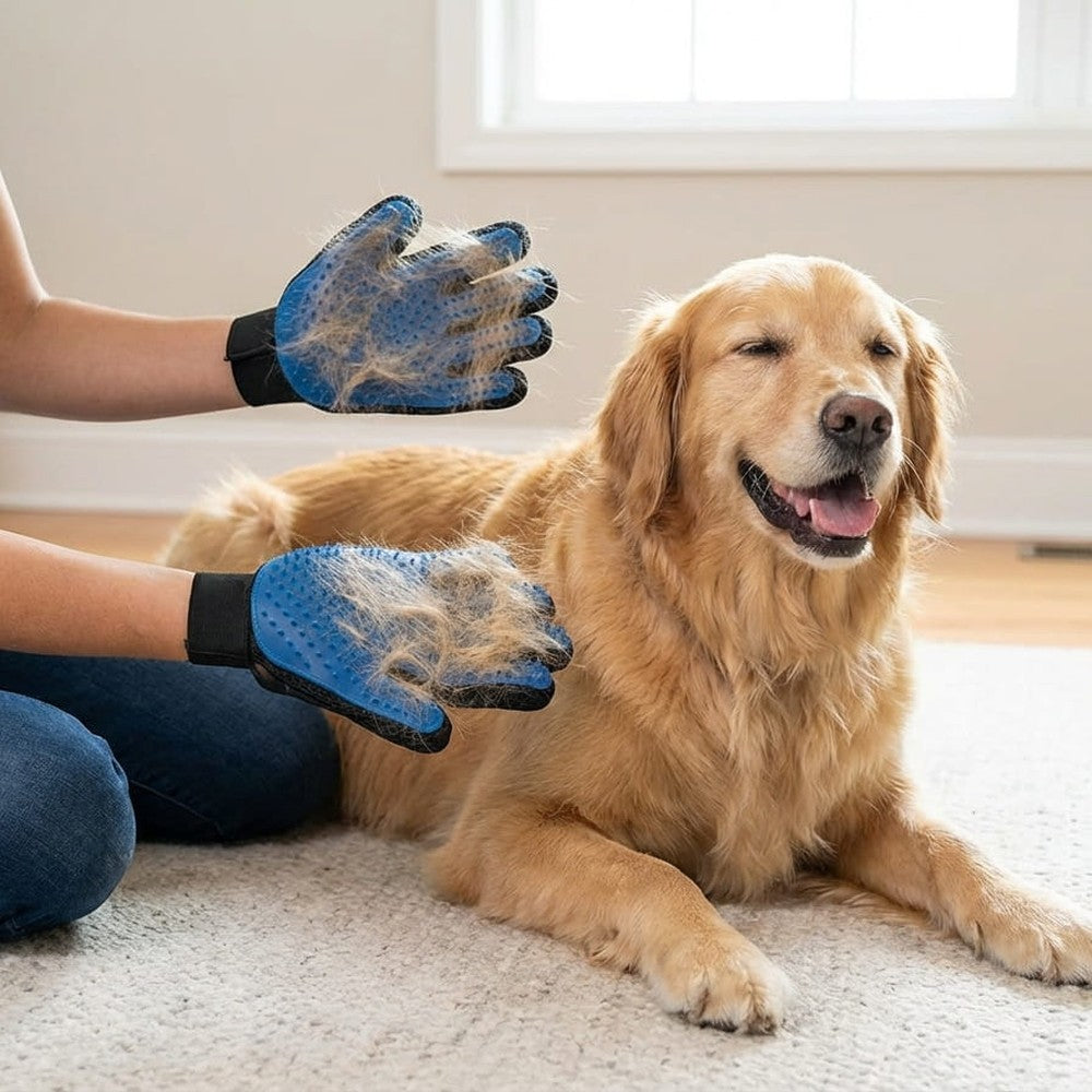 DogCare Γάντι Περιποίησης - Lifestyle χρήση σε σκύλο