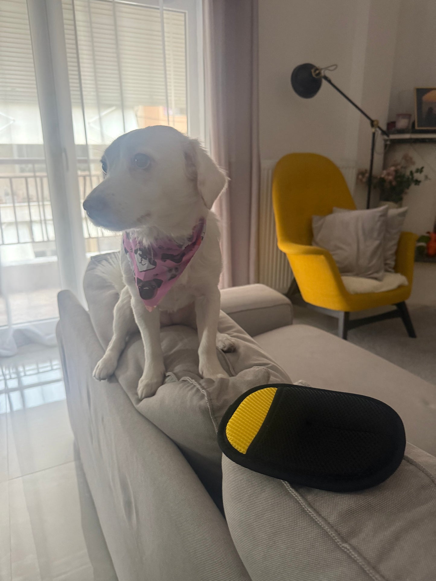 [ΝΕΟ ΜΙΝΙ ΜΟΝΤΕΛΟ] Γάντι Αφαίρεσης Τριχών με Διπλή Κατεύθυνση – Για να το έχεις πάντα μαζί σου