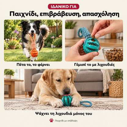 Σχοινί με μπάλα DogCare για φέρε, γέμισμα με λιχουδιές και απασχόληση