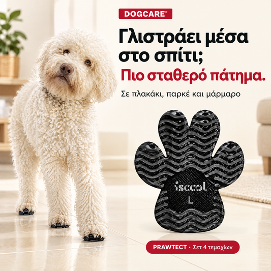 PRAWTECT αντιολισθητικά αυτοκόλλητα για πιο σταθερό πάτημα σκύλου σε λείες επιφάνειες