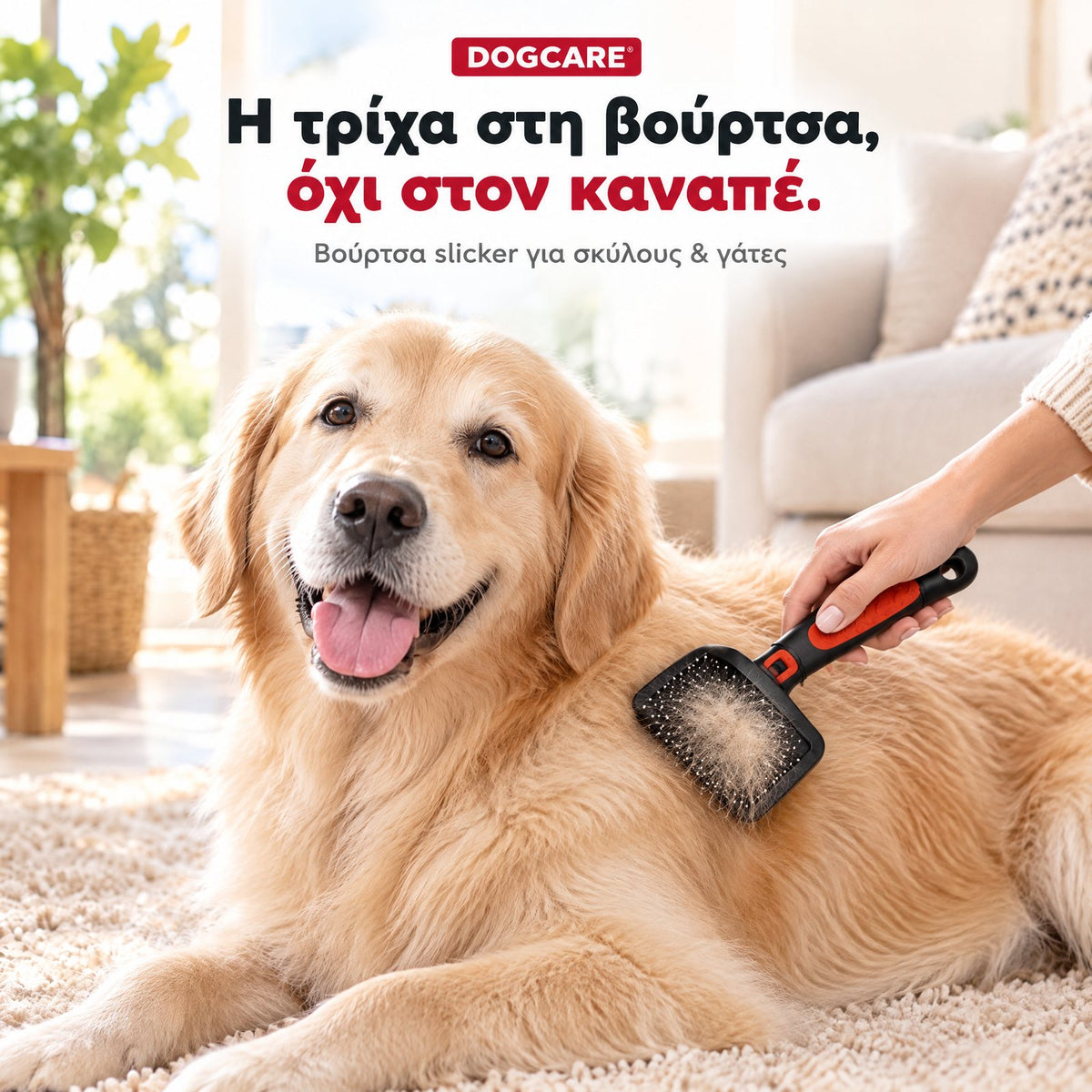 Βούρτσισμα σκύλου με τη βούρτσα slicker DogCare, η νεκρή τρίχα μένει στη βούρτσα