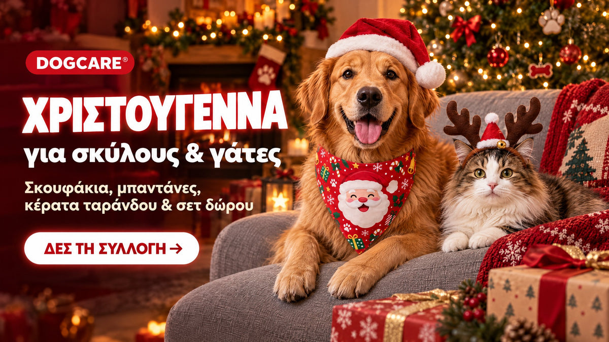 DOGCARE Χριστούγεννα για σκύλους και γάτες: σκουφάκια, μπαντάνες, κέρατα ταράνδου και σετ δώρου.