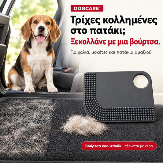Βούρτσα DogCare® για τρίχες σε χαλιά και πατάκια αυτοκινήτου