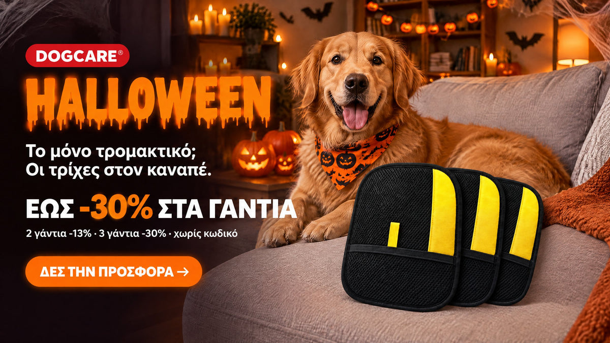 DOGCARE Halloween: έως -30% στα γάντια αφαίρεσης τριχών. 2 γάντια -13%, 3 γάντια -30%, χωρίς κωδικό.