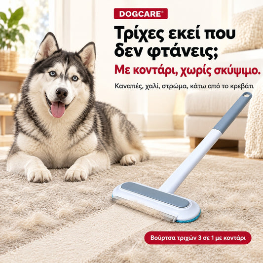 Βούρτσα τριχών DogCare® 3 σε 1 με κοντάρι για καναπέ, χαλιά και σκάλες