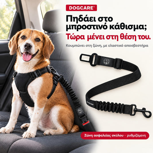 Ζώνη ασφαλείας αυτοκινήτου DogCare® για σκύλους, σταθερό πίσω κάθισμα