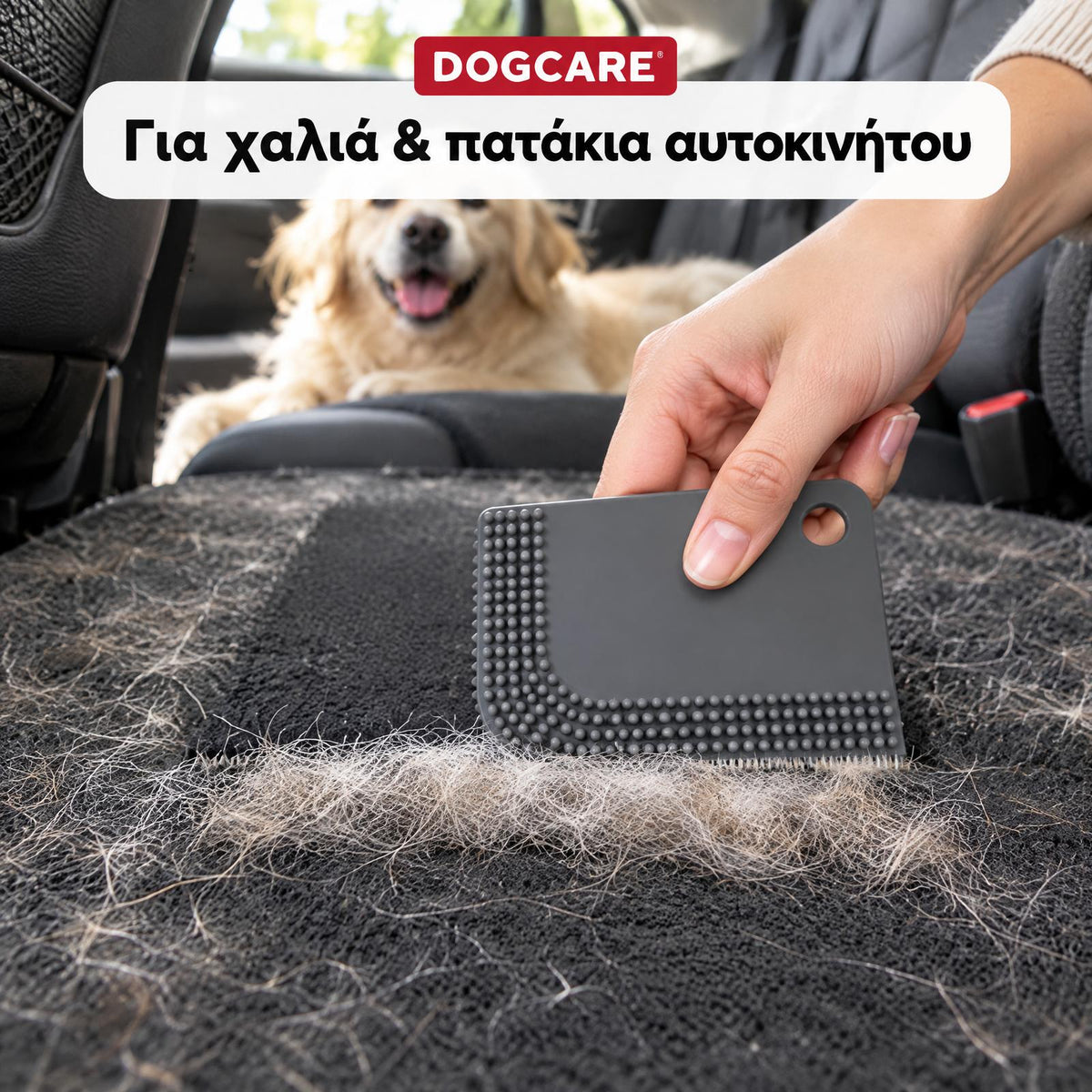 Επίπεδη γκρι βούρτσα DogCare μαζεύει τρίχες σκύλου από πατάκι αυτοκινήτου