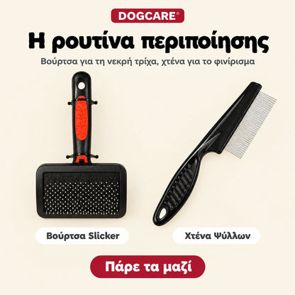 Βούρτσα slicker και χτένα ψύλλων DogCare για πλήρη ρουτίνα περιποίησης